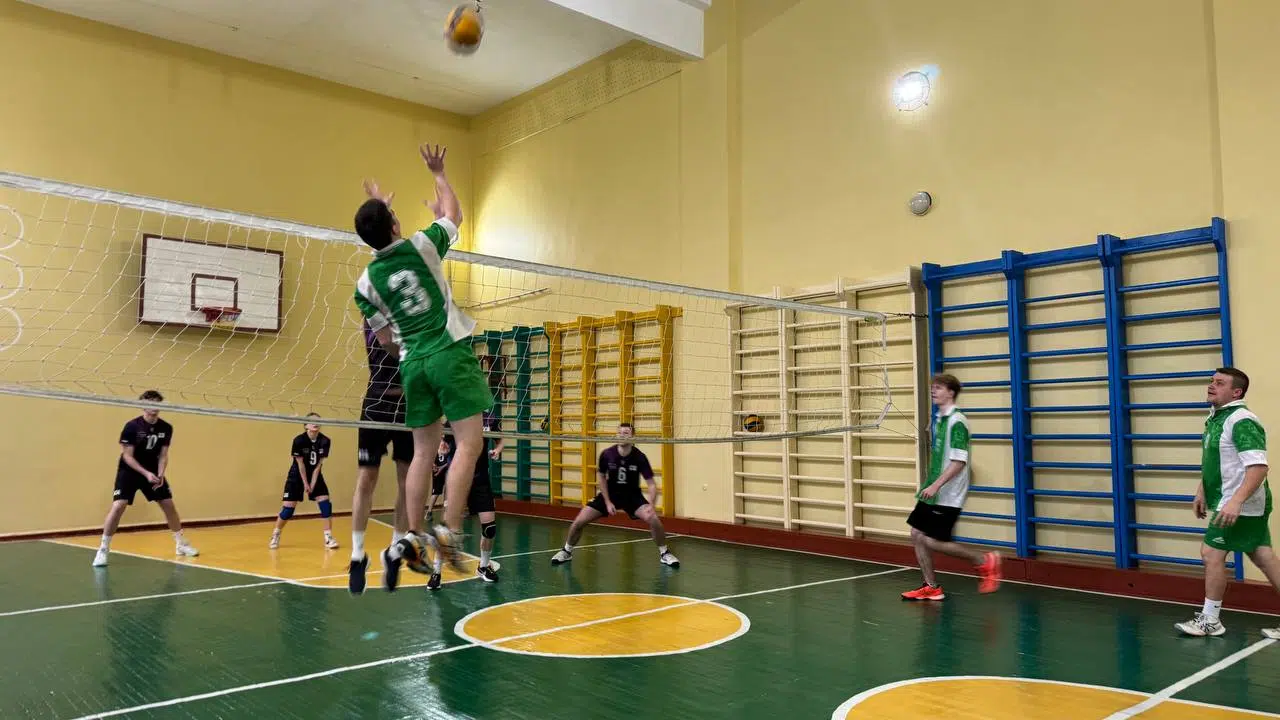 Товариська зустріч з волейболу
